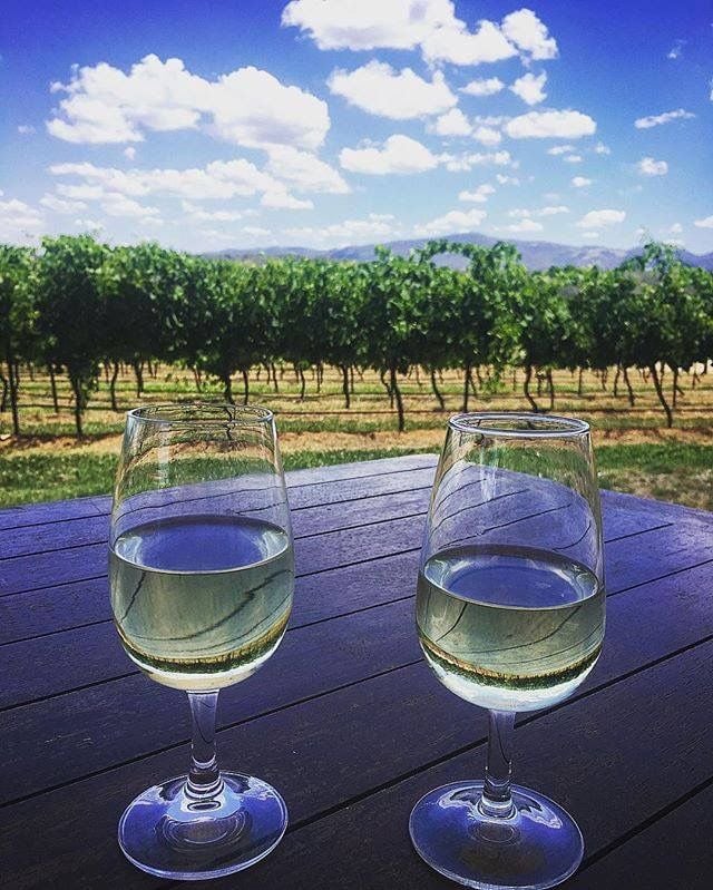 Hunter Valley Vineyard Group Bus Trips Image -5887ed7fd9043